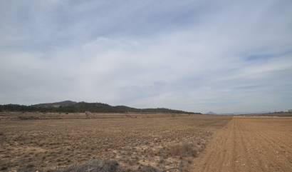 Bestaande woningen - Land - Monovar