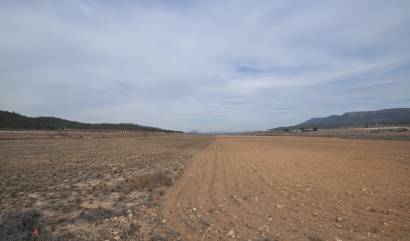 Bestaande woningen - Land - Monovar