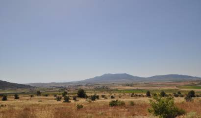 Bestaande woningen - Land - Pinoso