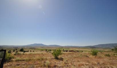 Bestaande woningen - Land - Pinoso