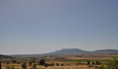 Bestaande woningen - Land - Pinoso