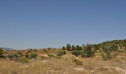 Bestaande woningen - Land - Pinoso