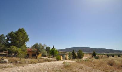 Bestaande woningen - Land - Pinoso
