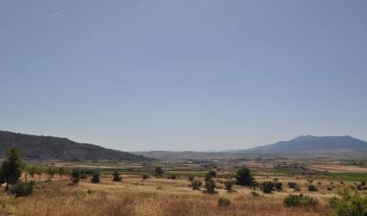 Bestaande woningen - Land - Pinoso