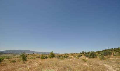 Bestaande woningen - Land - Pinoso