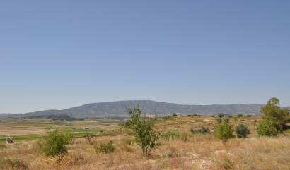 Bestaande woningen - Land - Pinoso
