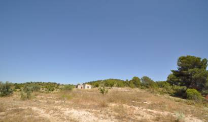 Bestaande woningen - Land - Pinoso