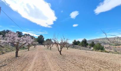 Bestaande woningen - Land - Pinoso