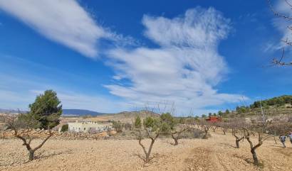 Bestaande woningen - Land - Pinoso