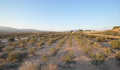 Bestaande woningen - Land - Pinoso