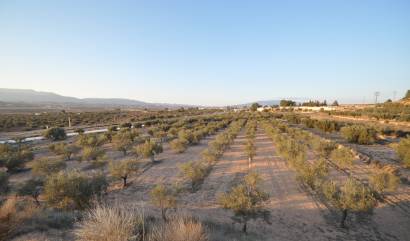 Bestaande woningen - Land - Pinoso