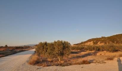 Bestaande woningen - Land - Pinoso