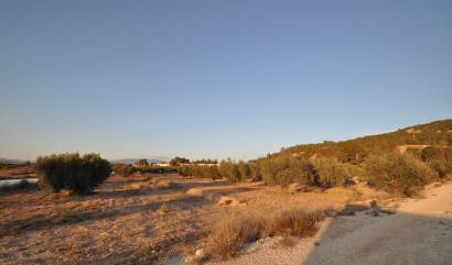 Bestaande woningen - Land - Pinoso