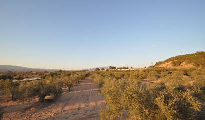 Bestaande woningen - Land - Pinoso