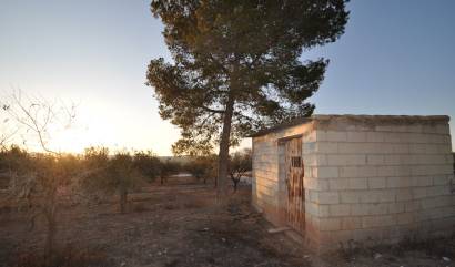 Bestaande woningen - Land - Pinoso