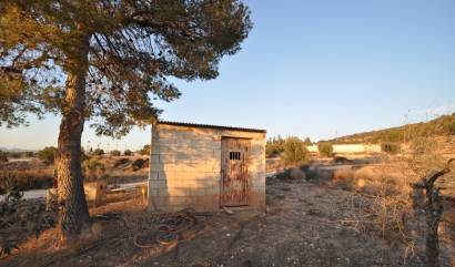 Bestaande woningen - Land - Pinoso