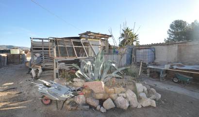 Bestaande woningen - Land - Pinoso