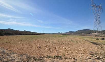 Bestaande woningen - Land - Salinas