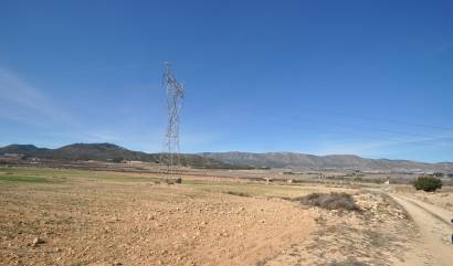 Bestaande woningen - Land - Salinas