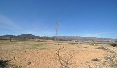 Bestaande woningen - Land - Salinas