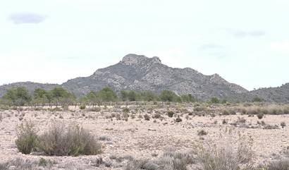 Bestaande woningen - Land - Salinas