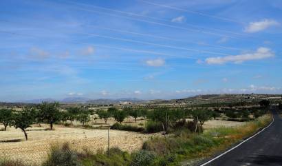Bestaande woningen - Land - San Miguel de Salinas - Torremendo