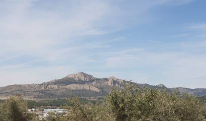 Bestaande woningen - Land - Sax