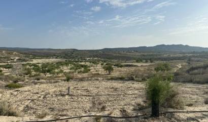 Bestaande woningen - Land - Torremendo