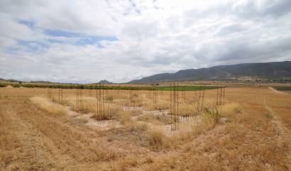 Bestaande woningen - Land - Yecla