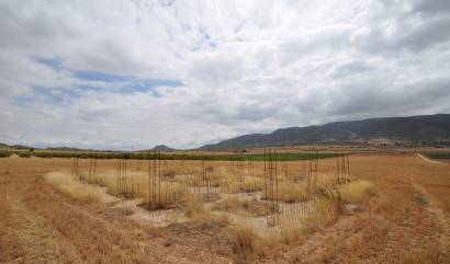 Bestaande woningen - Land - Yecla