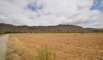 Bestaande woningen - Land - Yecla