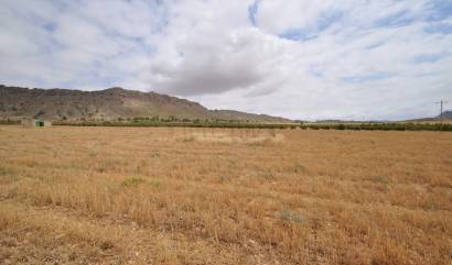 Bestaande woningen - Land - Yecla