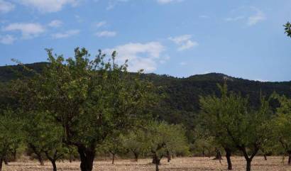 Bestaande woningen - Land - Yecla