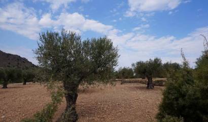 Bestaande woningen - Land - Yecla