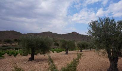 Bestaande woningen - Land - Yecla