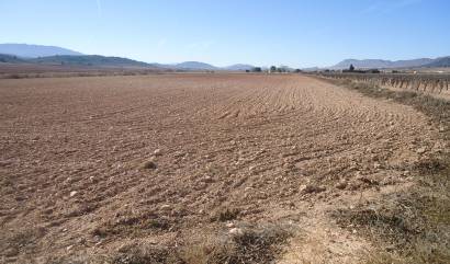 Bestaande woningen - Land - Yecla