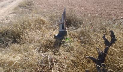 Bestaande woningen - Land - Yecla