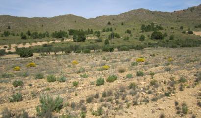 Bestaande woningen - Land - Yecla