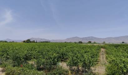Bestaande woningen - Landelijk huis - Albatera