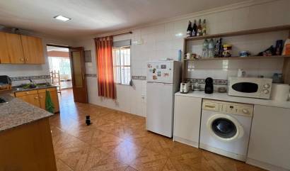 Bestaande woningen - Landelijk huis - Alguena