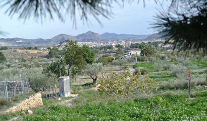 Bestaande woningen - Landelijk huis - Monovar