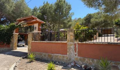 Bestaande woningen - Landelijk huis - Orihuela - Torremendo