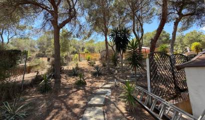 Bestaande woningen - Landelijk huis - Orihuela - Torremendo