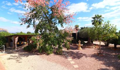 Bestaande woningen - Landelijk huis - Orihuela