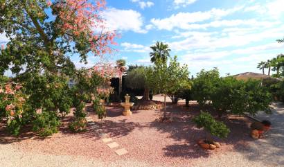 Bestaande woningen - Landelijk huis - Orihuela