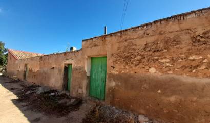 Bestaande woningen - Landelijk huis - Pinoso