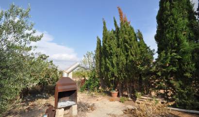 Bestaande woningen - Landelijk huis - Pinoso