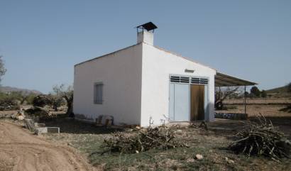 Bestaande woningen - Landelijk huis - Revuelta de Yecla