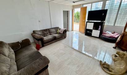 Bestaande woningen - Landelijk huis - San Fulgencio - La Marina