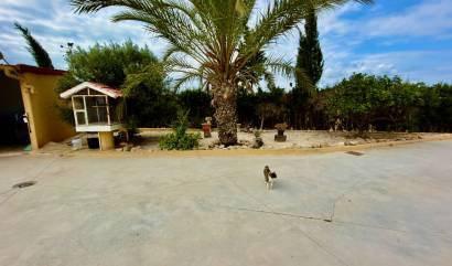 Bestaande woningen - Landelijk huis - San Fulgencio - La Marina